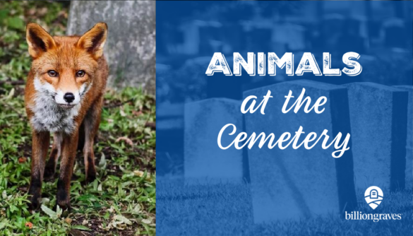 BillionGraves, animals, cemetery, grave, gravestone, fox, deer, genealogy, cemetery