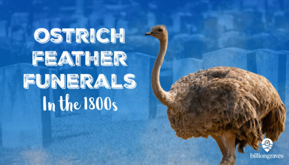 Funeral, BillionGraves, ostrich feather, ostrich feather funeral, cemetery, grave, st, gravestones, GPS, BG, ostrich, genealogy, family history, ancestors, family tree, BillionGraves
